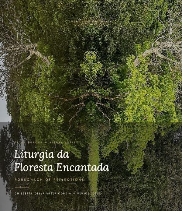 Liturgia da Floresta Encantada — book cover